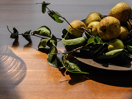 STILL LIFE PHOTOGRAPHY