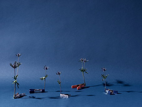 STILL LIFE PHOTOGRAPHY