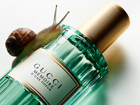 STILL LIFE PHOTOGRAPHY