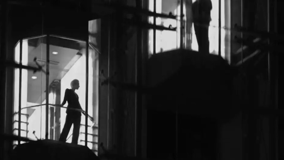 Sarida Bossoni - Agency for Directors of Photography