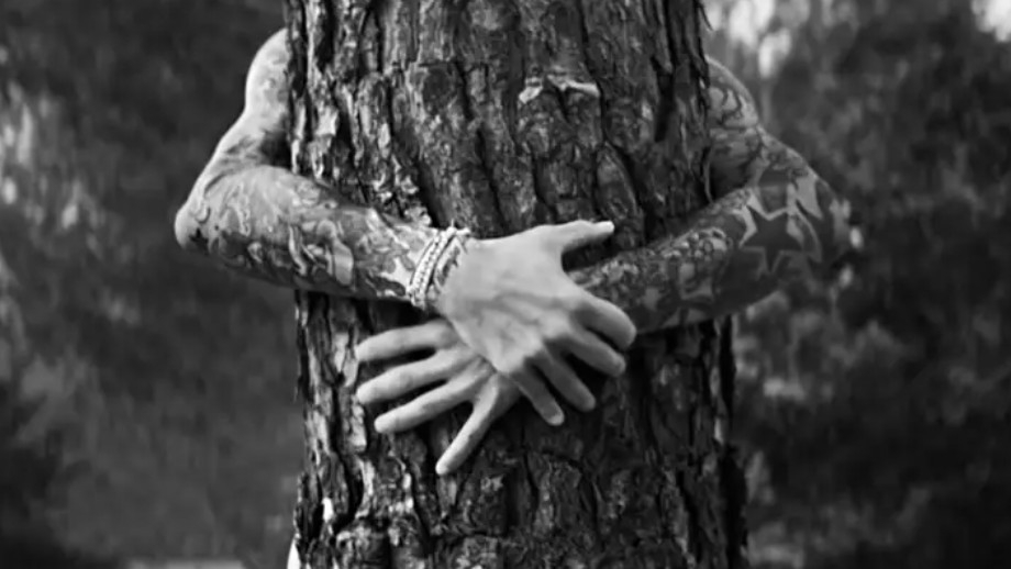 Sarida Bossoni - Agency for Directors of Photography