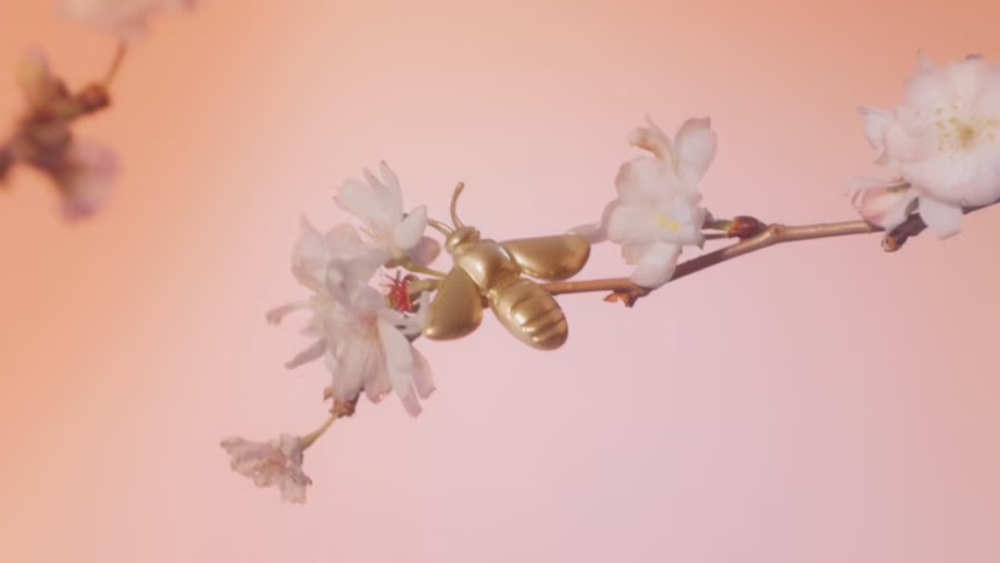 Sarida Bossoni - Agency for Directors of Photography