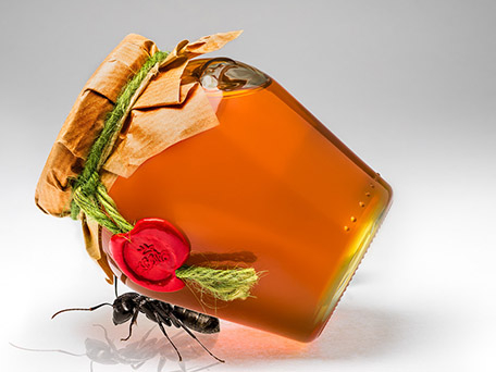 FOOD & DRINK PHOTOGRAPHY & MOTION