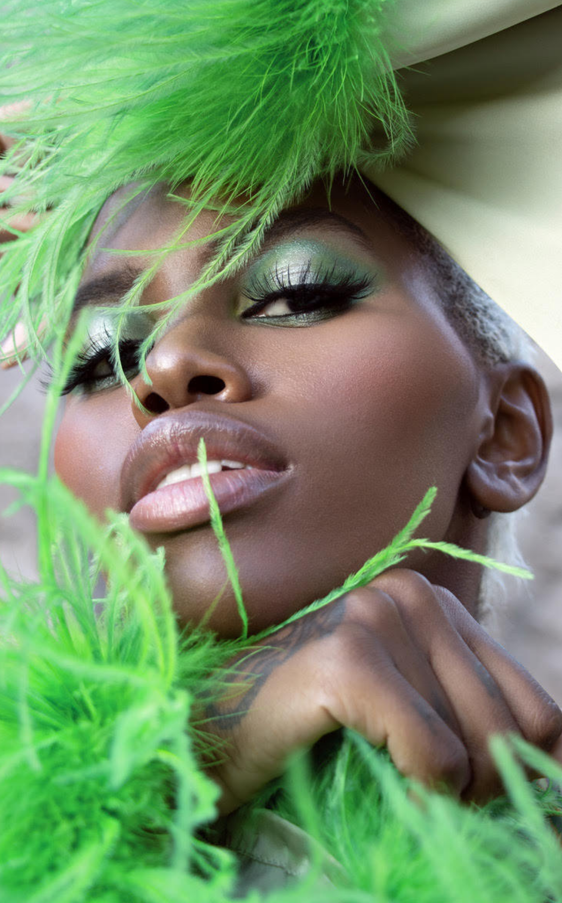 Modelmanagement