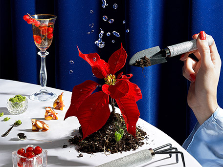GLOBAL ADVERTISING PHOTOGRAPHY