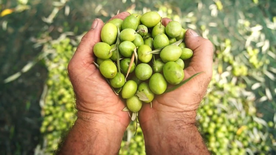 Sardinia Production Service