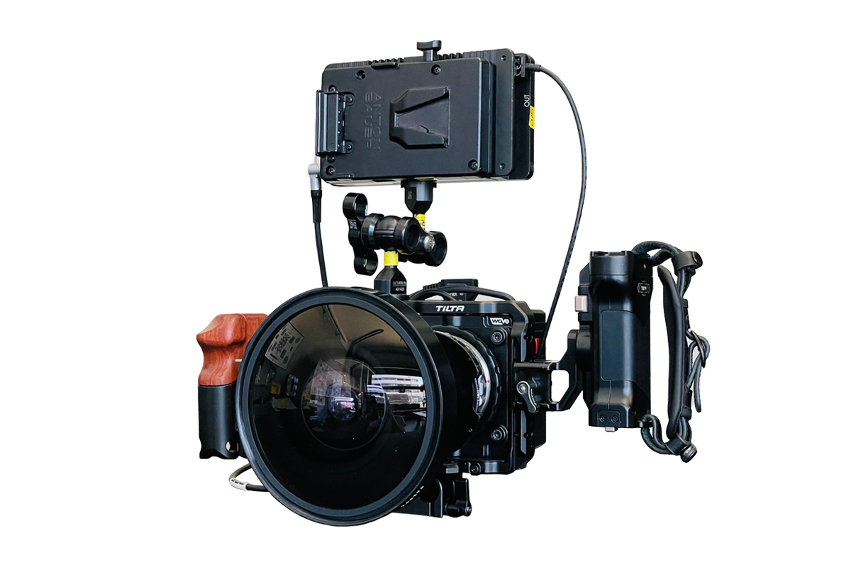 Delight Rental Services