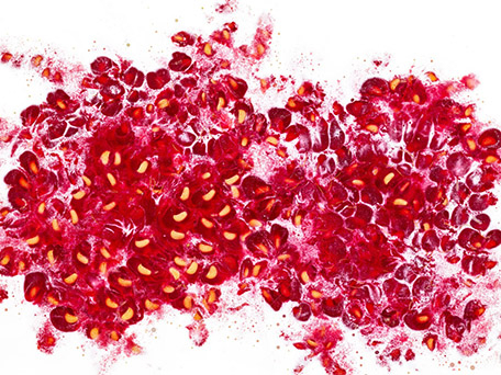 FOOD & DRINK PHOTOGRAPHY & MOTION