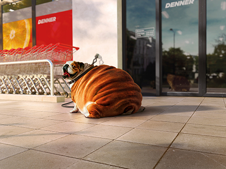 GLOBAL ADVERTISING PHOTOGRAPHY & MOTION