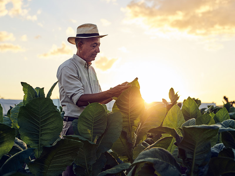 GLOBAL ADVERTISING PHOTOGRAPHY