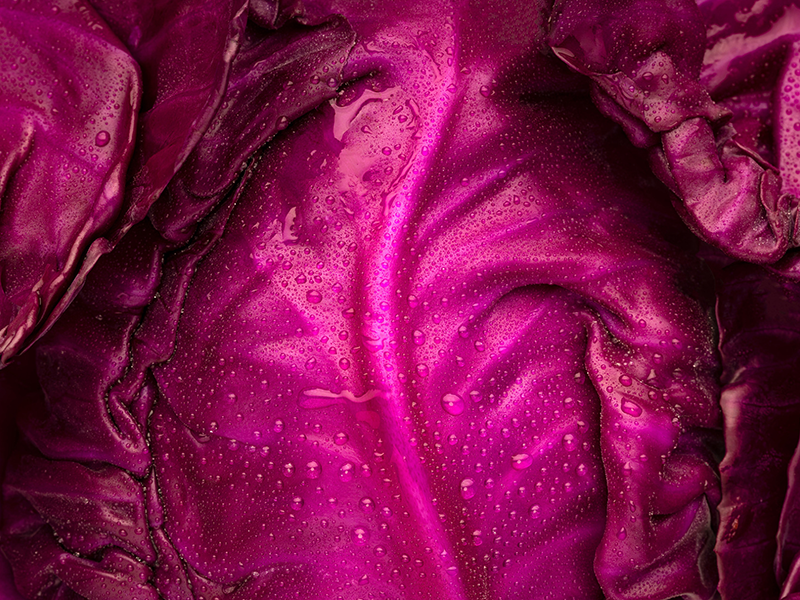 FOOD & DRINK PHOTOGRAPHY & MOTION