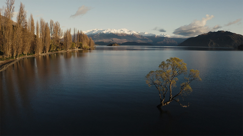 Amanda Aitken Photography