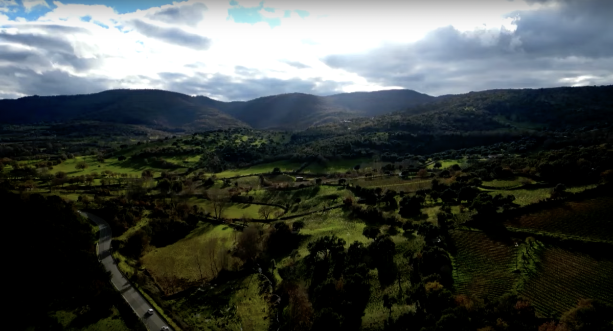 Sardinia Production Service