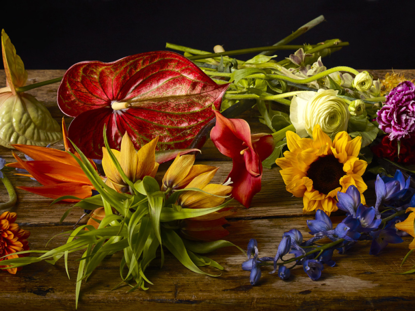 STILL LIFE PHOTOGRAPHY