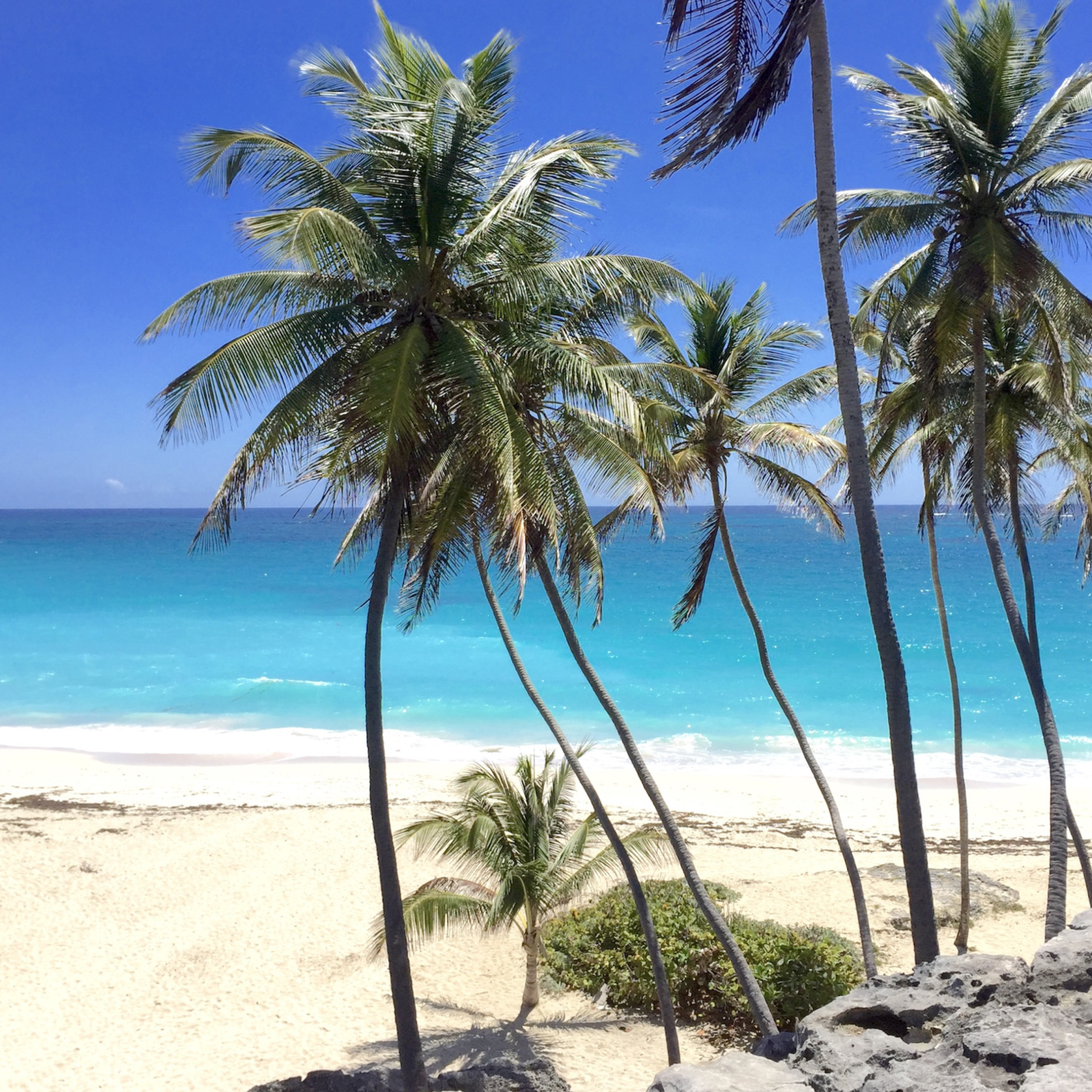 Caribbean Production