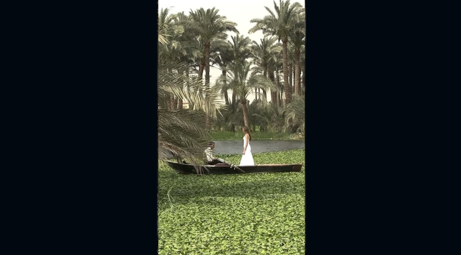 SNAP14